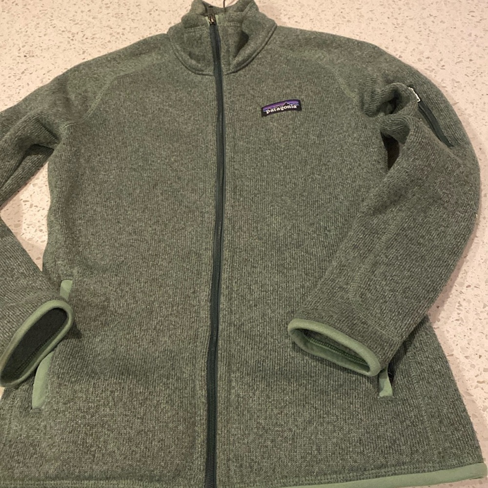 Patagonia Green Better Sweater